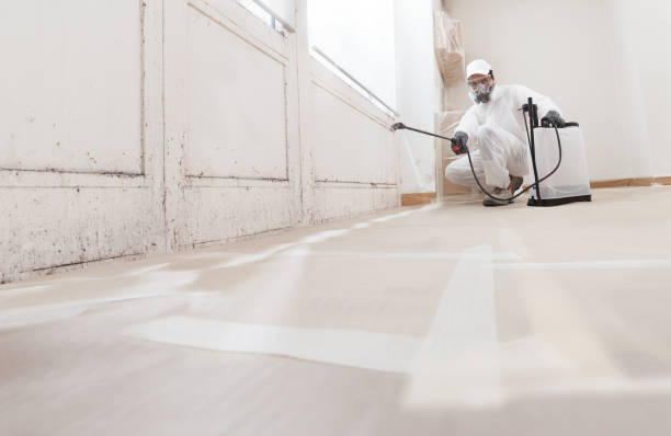 24/7 Emergency Mold Remediation experts in Greenville, MI