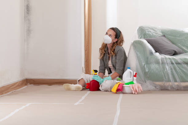 Reliable Mold Remediation contractor in Greenville, MI by 24 Hour Mold Removal